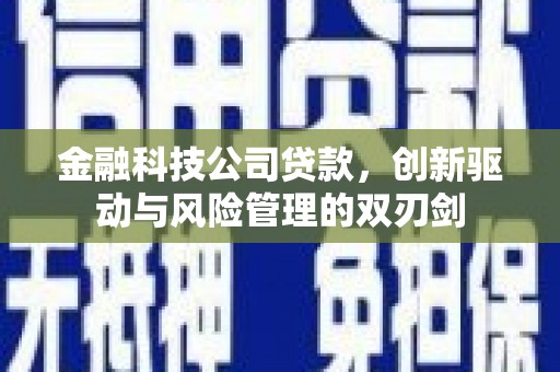 吐鲁番金融科技公司贷款，创新驱动与风险管理的双刃剑